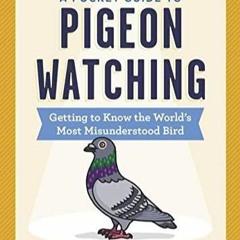 Download A Pocket Guide to Pigeon Watching: Getting to Know the World's Most