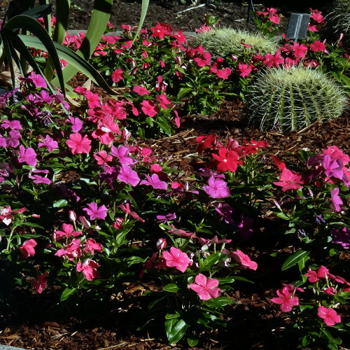 Never Felt More Loved