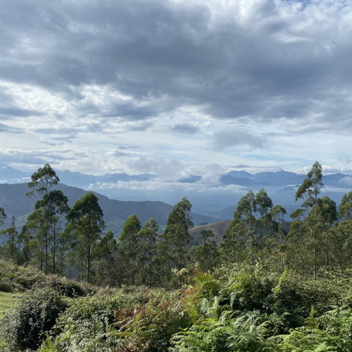 MHA- 50k Drop Contest ( Alex Shaker )