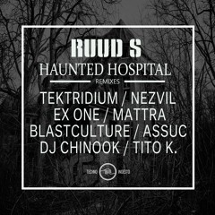 Ruud S - Haunted Hospital (Cut)