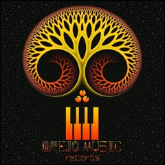 Mallmann & Ancestral Culture - Surto 166