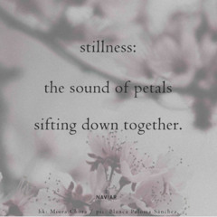 Petal's Stilness