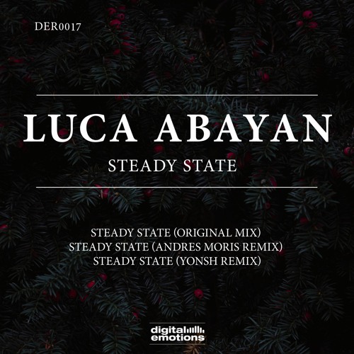 DER0017: Luca Abayan - Steady State (Original Mix)