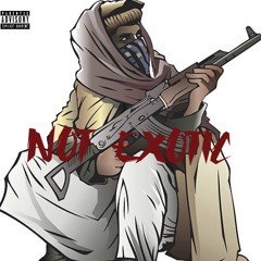 NOT EXOTIC FREESTLYE (Prod. CeeStackz)