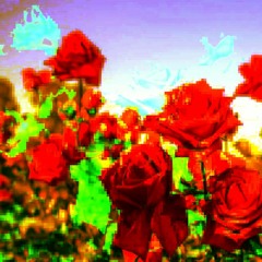 2. Think about what you did