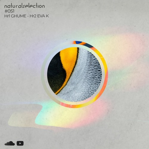 Episodio 51 - Natural Selection With Eva K