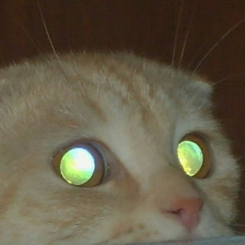 Валентин Стрыкало Рустем slowed