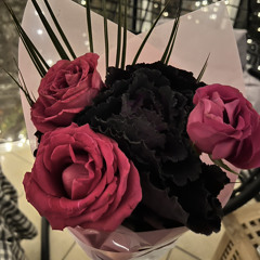 Body (Rough Phone Recording)