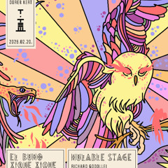 Live at Dürer Kert (21/02/206)