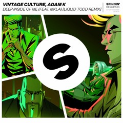 Vintage Culture, Adam K - Deep Inside Of Me (feat. MKLA) [Liquid Todd Remix] [OUT NOW]