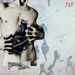 toy