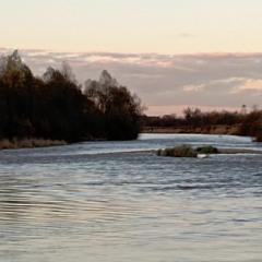 А дощ валит ⧸ Львівські Музики