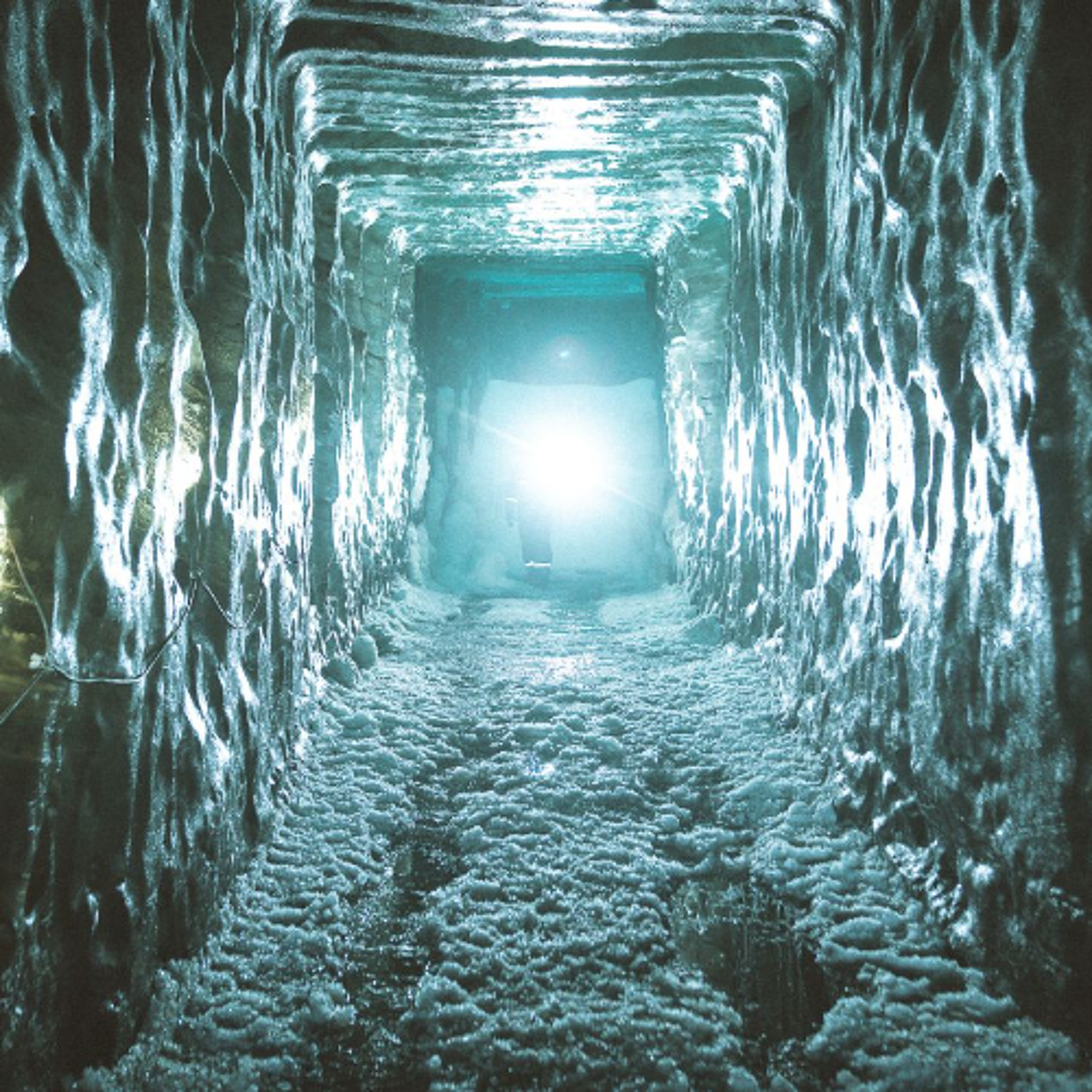 Best of Awake in the World: The Self Has No Self What to do with the Ego