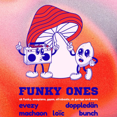 Funky Ones - Live mix