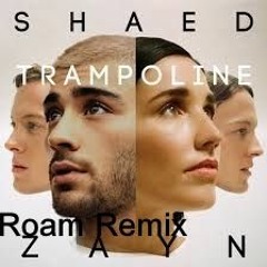 SHAED X ZAYN - Trampoline (Roam Remix)