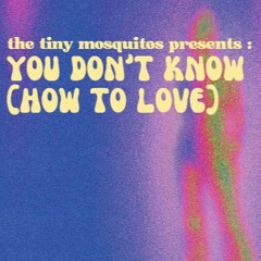 You Don't Know (How To Love)
