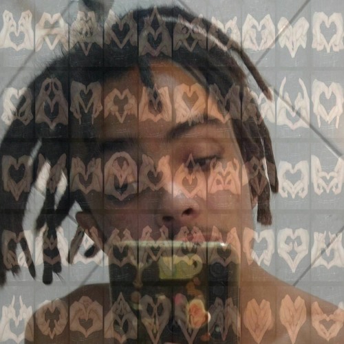 QVXR1000 - BUDAPESTE 馃寪