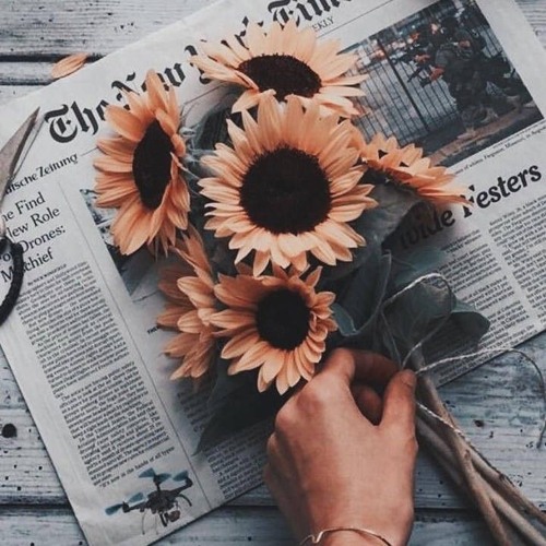 James bay ~ Let it go cover