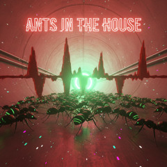 Ants in the house