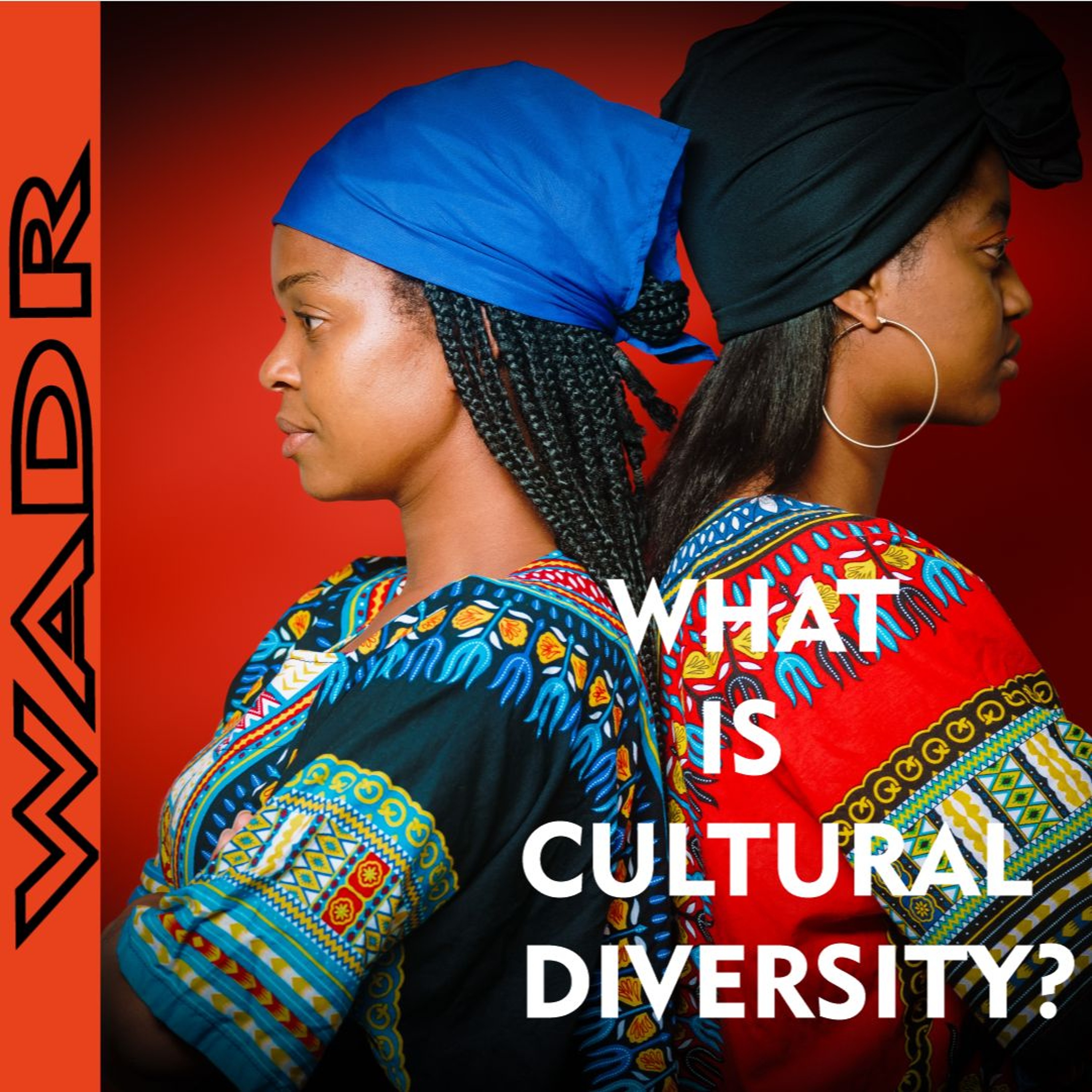 Effects of Cultural Diversity On Young People In Africa - Take The Lead episode artwork