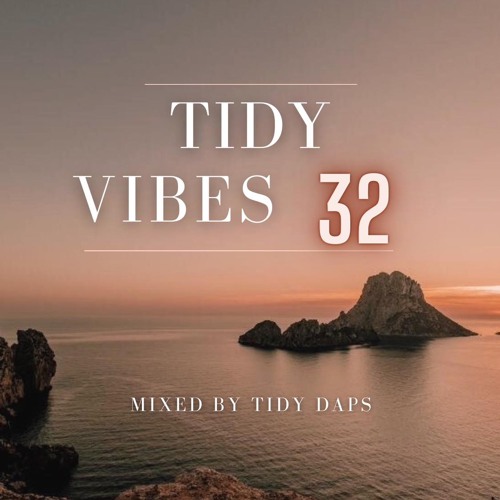 Tidy Vibes vol. 32