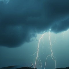 rainforest-rhythms.mp3