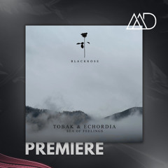 PREMIERE: TOBAK - Lose My Mind (Original Mix) [Black Rose]