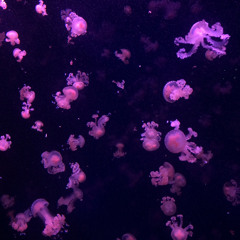 it felt like a secret