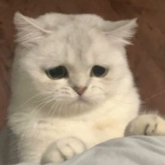 #/loveme** (prod. narcix)