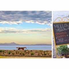 Mellow Yellow Opening Party, SunSet Opening set with Mridu 07.08.21