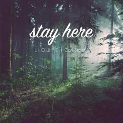 LiQWYD & Carl Storm - Stay Here (Free download)