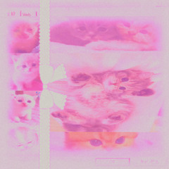 kittycore