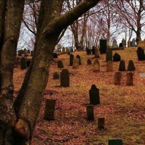 oct'25 undrcvr mezi brvn kita zaphkiel da11as10k