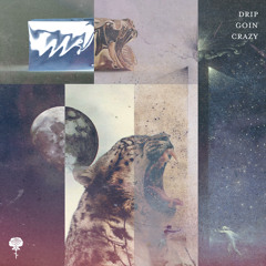Drip Goin Crazy