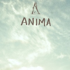 Diego Welter  @ Anima ,Sunset Boat