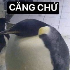Nhạc remix căng