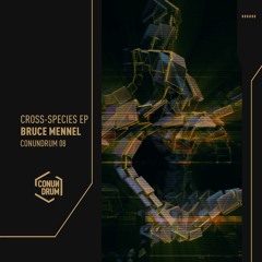 Bruce Mennel - Nucleus - CONUNDRUM 08