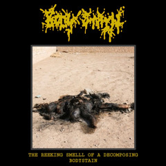 THE REEKING SMELL OF A DECOMPOSING BODYSTAIN (single)