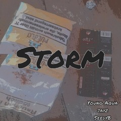 Storm - Young Aqua jayz SeedyB