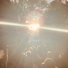 Vanice @Waldhafen, Tree of Life Gathering 2024