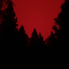 Wildfires and Covid-19. Overlapping Emergencies Demand Strategic Response.