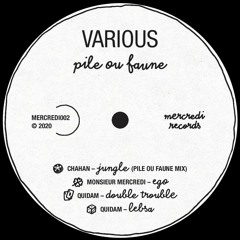 A1 - Chahan - Jungle (Pile Ou Faune Mix)