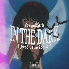 In The Dark (Prod. luv isaac)