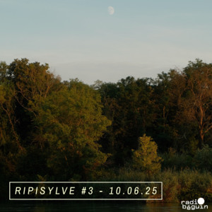 RIPISYLVE #3 w/ Small Water Bodies