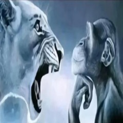 geeked vs locked in