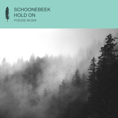 Schoonebeek - Hold On (Extended Mix)
