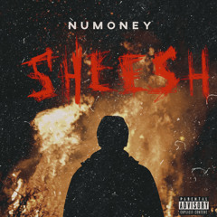 NuMoney -Sheesh.mp3