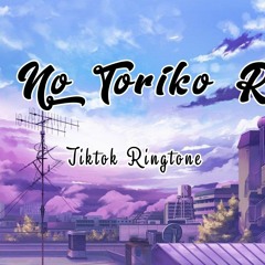 Kimi No Toriko Remix Tiktok Ringtone