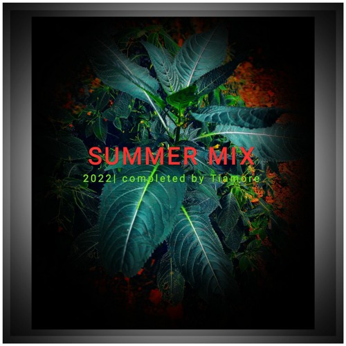 Summer Mix 2022 (completed by Tiamore)