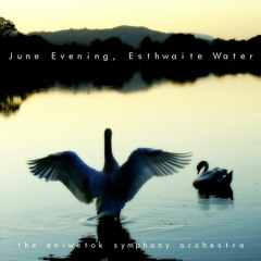 June evening, Esthwaite Water